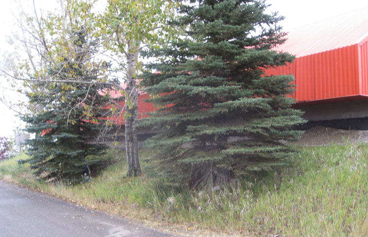 foundation crack repair calgary